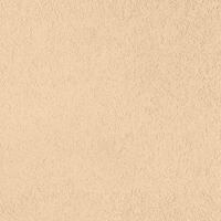 edo_taloche_r804_coquille